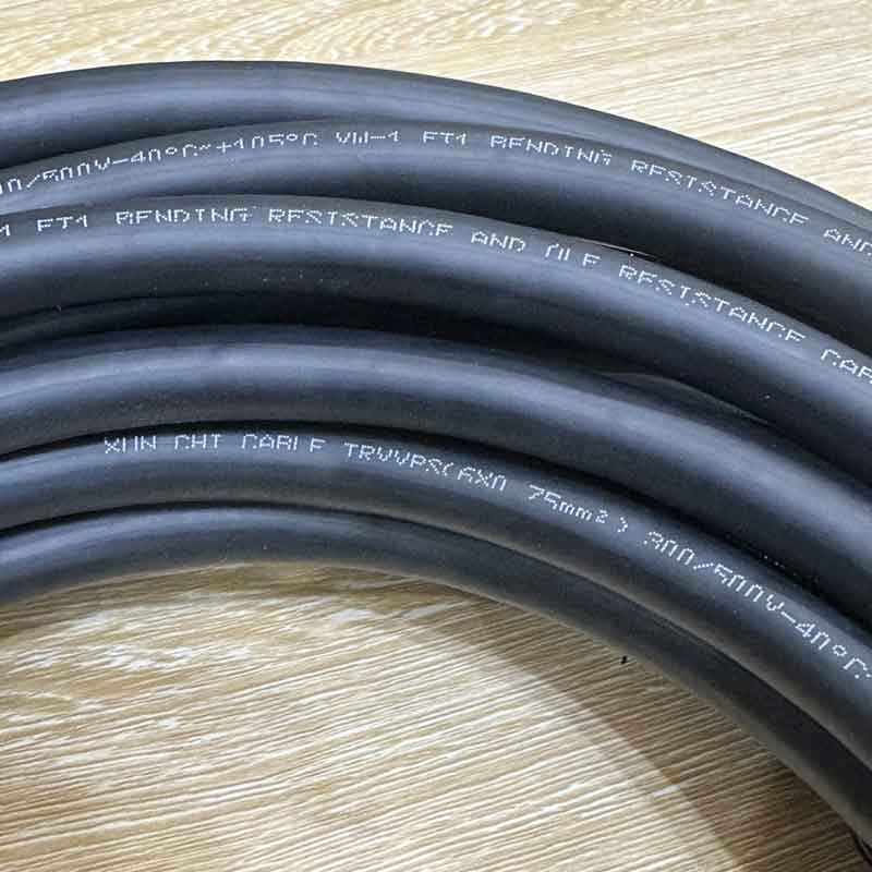 Cáp Mã Hóa Điều Khiển TRVSP2-6x0.75 Kết Nối Servo Chống Nhiễu Xoắn Đôi Có Độ Linh Hoạt Cao Bọc Chống Nhiễu Connect Encoder Cable Length 10M
